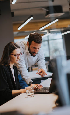 Alice Consulting LLC